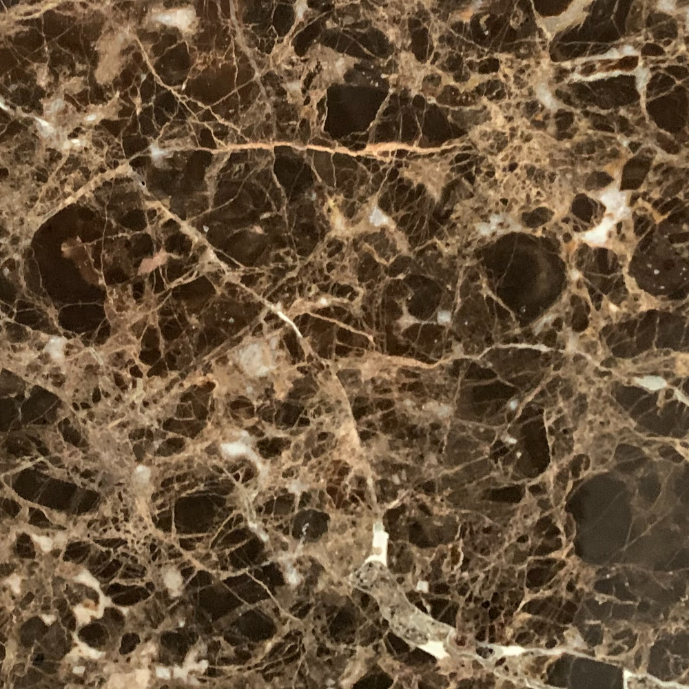 emperador_marron_AL_7575_detail